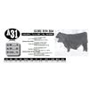 Image 1 : SCORE ROY 864