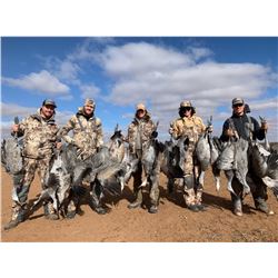 TEXAS CRANE HUNT