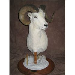 $750 TAXIDERMYCREDIT