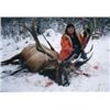 Image 2 : MINNESOTA BULL ELK HUNT WITH CHARTER FISHING