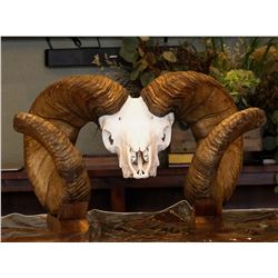 BIGHORN SHEEP REPLICA (1)