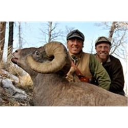WYOMING GOVERNOR’S BIGHORN SHEEP TAG