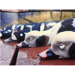 ALASKA COMBO DUCK AND SMALL GAME HUNT FOR TWO