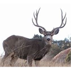 NEBRASKA MULE DEER HUNT