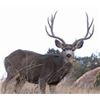 Image 1 : NEBRASKA MULE DEER HUNT