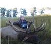 Image 1 : NEBRASKA NON-RESIDENT ELK TAG