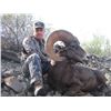 Image 4 : DESERT BIGHORN HUNT