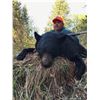 Image 1 : PARENT AND YOUTH OR HUSBAND AND WIFE SPRING BLACK BEAR HUNT FOR TWO