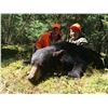 Image 2 : PARENT AND YOUTH OR HUSBAND AND WIFE SPRING BLACK BEAR HUNT FOR TWO