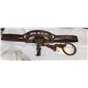 Image 5 : CHOICE OF ANTIQUE BEAR TRAP (Trap 2)
