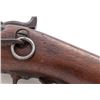 Image 6 : Springfield Model 1873 Single Shot Trapdoor Carbine