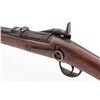 Image 7 : Springfield Model 1873 Single Shot Trapdoor Carbine