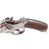 Image 7 : French M.1873 Double Action Revolver, w/holster