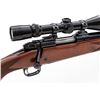 Image 2 : Winchester M.70 Varmint Bolt Action Rifle, w/scope