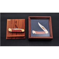 Lot of 2 Ltd. Ed. Buck 110 Knives