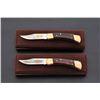 Image 1 : Lot of 2 Ltd. Ed. Buck 110 Knives
