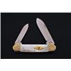 Image 1 : 1/50 Case Knives ''Mother of Pearl Series