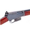 Image 3 : Winchester Model 1905 Self-Loading Rifle