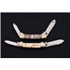 Image 1 : Lot of 2 Case Mother of Pearl Knives