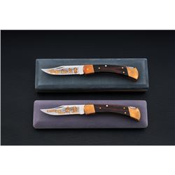 Lot of 2 Ltd. Ed. Buck 110 Knives