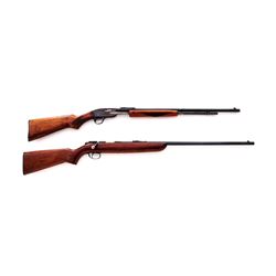 Lot of 2 .22 Cal. Rifles, by Savage  Remington