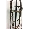 Image 2 : Vintage Show Bridle And Breast Collar Set