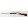 Image 2 : Winchester Model 1876. Special Order