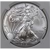 Image 2 : 2017 AMERICAN SILVER EAGLE NGC MS 70