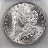 Image 2 : 1883-O MORGAN ICG  MS 64