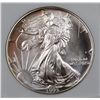 Image 2 : 1993 AMERICAN SILVER EAGLE