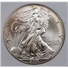 Image 2 : 2001 AMERICAN SILVER EAGLE NGP