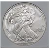 Image 2 : 2006 AMERICAN SILVER EAGLE