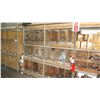Image 2 : Shelf and Contents: Assorted Fittings, Clamps, Misc Couplings, More