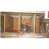 Image 8 : Shelf and Contents: Assorted Fittings, Clamps, Misc Couplings, More