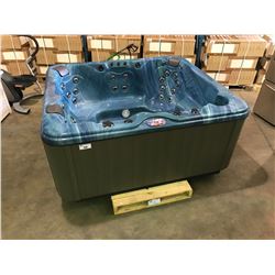 CAL SPA HOT TUB, AMERICAN SPAS PREMIUM SERIES, ** ARCY 84x74, 3 CONTOUR PILLOWS, 37 HALO
