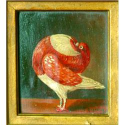 A** Regeling (19th Century), Dutch PAIR OF POUTER PIGEONS, Pair of oils on panel; each signed lower 