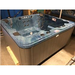 AMERICAN SPAS HOT TUB, PREMIUM SERIES, PACIFIC RIM 84"X 74" ACRY, PHANTOM STD BASE,