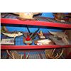 Image 2 : SHELF OF ANTLERS/SKULL WALL MOUNTS, TAXIDERMY FISH, AND MORE