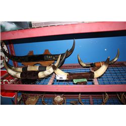 SHELF OF BULL HORN WALL MOUNTS