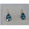 Image 2 : 10KT YELLOW GOLD EARRINGS S/W BLUE STONES