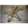 Image 2 : TAXIDERMY COYOTE RUG