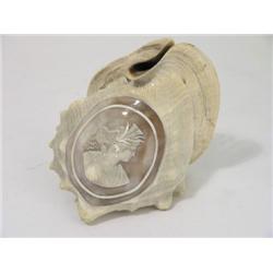 A cameo shell, carved with a female profile bust with flowers and wheatsheafs in her hair, 7ins  
