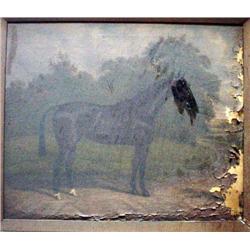  William Albert Clark (20th C.)  oil on canvas,  Horse in a field,  signed,  20 x 24 ins. (a.f)   