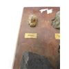 Image 6 : PLAQUE (W/SASK MINES ORE SAMPLES) *GUNNAR, ANSLO-RUIN, ELDORADO, HBM&S*