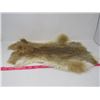Image 4 : 2 JUMBO RABBIT PELTS (BROWN)