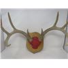 Image 2 : DEER MOUNT (DECORATIVE)