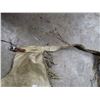 Image 4 : LEATHER CHAPS  (GOOD USED CONDITION)