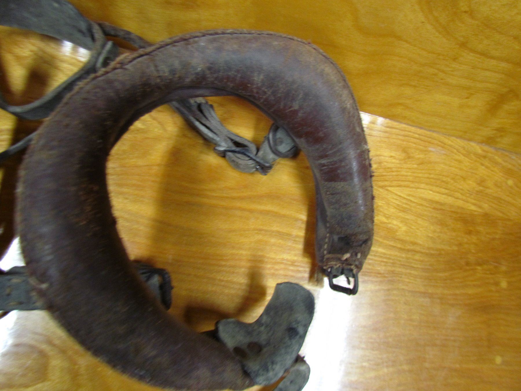 DOG HARNESS & COLLAR (VINTAGE) Schmalz Auctions