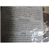 Image 6 : LOT OF 16 EGYPTION PAINTING (ON PAPYRUS PAPER) *COPIES*