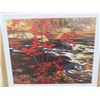 Image 2 : LIMITED PRINT 'THE RED MAPLE' (BY AY JACKSON) *432/777* (23" X 18.5")